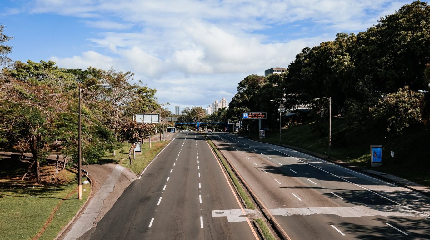Avenida arborizada de pista dupla com sinalização.